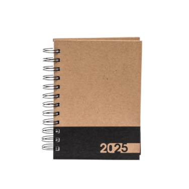 Agenda diária 2025